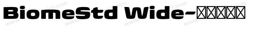 BiomeStd Wide字体转换